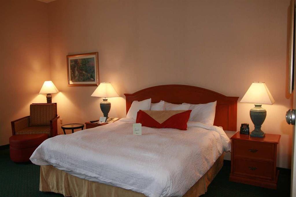 Hilton Garden Inn Minneapolis Saint Paul-Shoreview Zimmer foto